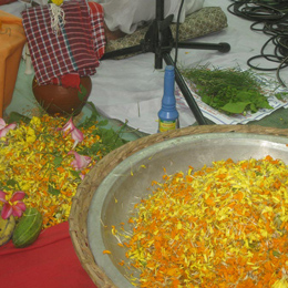 Gita Songho Image