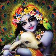 Little Krishna Nice Image