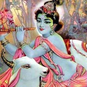 Krishna Nice Image
