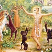 Krishna Nice Image