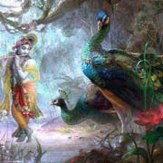 Krishna Nice Image