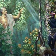 Krishna Nice Image
