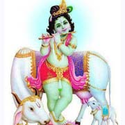 Krishna Nice Image
