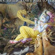 Krishna Nice Image