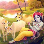 Krishna Nice Image