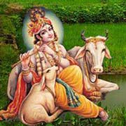 Radha-Krishna Nice Image