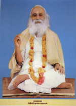 Syami Swarupananda  Paramhansa (স্বামী স্বরূপানন্দ পরমহংস) Image