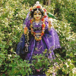 Tulasi Maharani (তুলসী মহারানী)