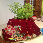 Tulasi Maharani (তুলসী মহারানী)